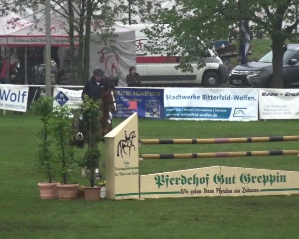Reitturnier Greppin 2017