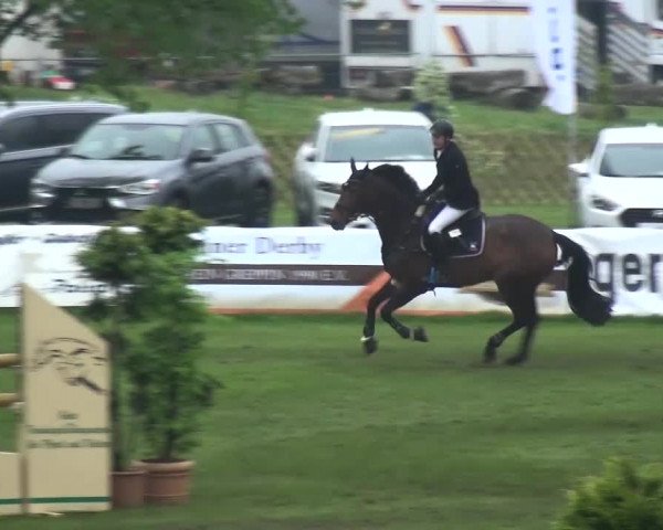 Reitturnier Greppin 2017