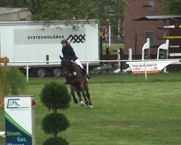 Reitturnier Greppin 2017