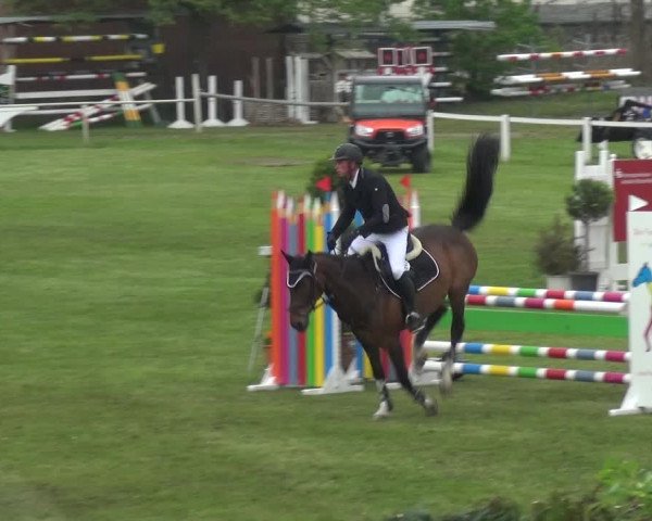 Reitturnier Greppin 2017