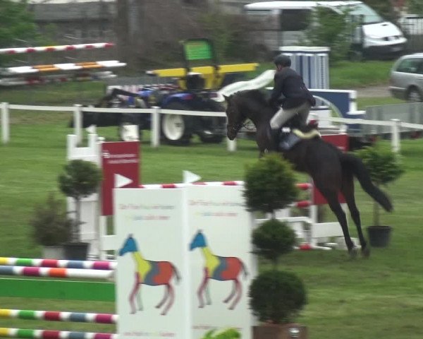 Reitturnier Greppin 2017