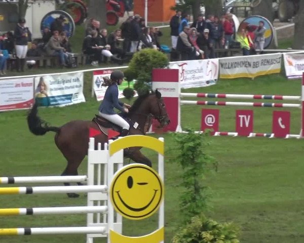 Reitturnier Greppin 2017