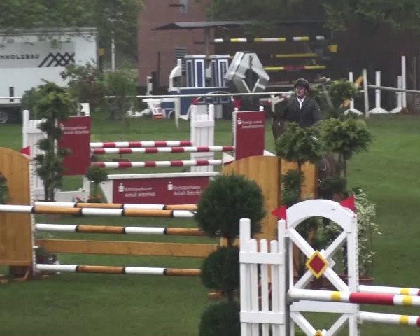 Reitturnier Greppin 2017