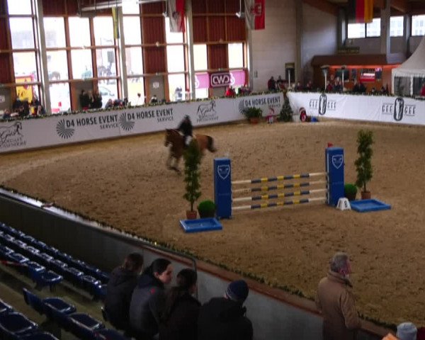 Christmas Jumping Trophy Prussendorf 2021