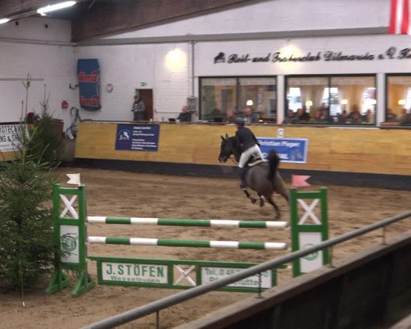 Reitturnier Heide 2021
