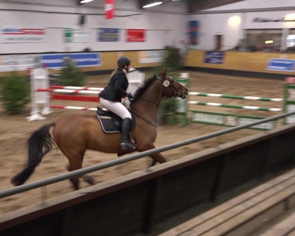 Reitturnier Heide 2021