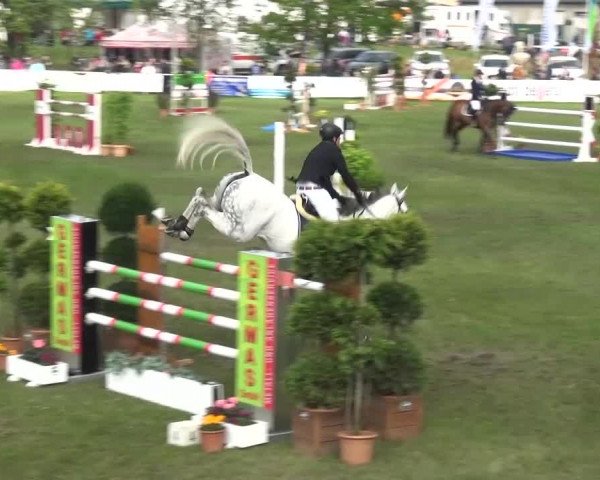 Reitturnier Greppin 2017