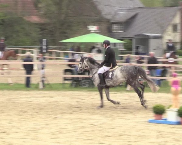 Reitturnier Niederbergheim 2017