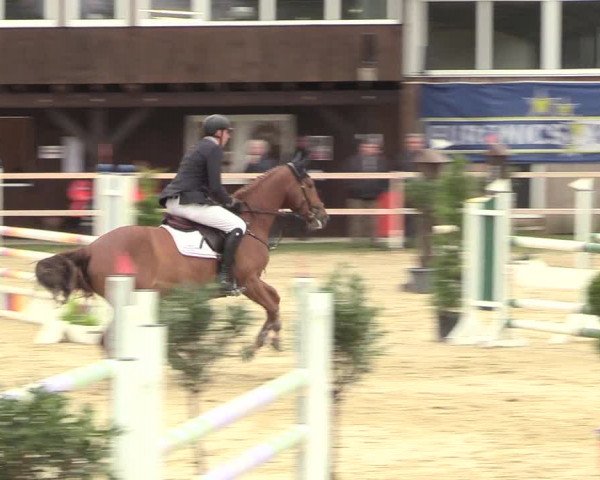 Reitturnier Niederbergheim 2017