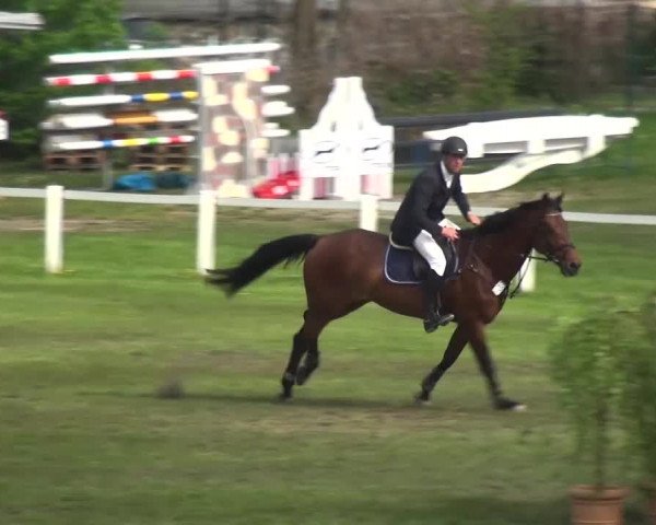 Reitturnier Greppin 2017