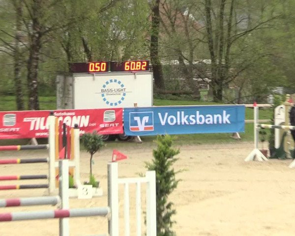 Reitturnier Niederbergheim 2017
