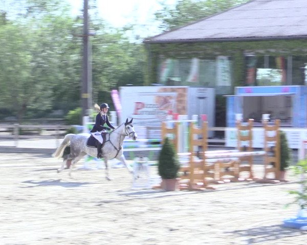 Reitturnier Nienberge 2017