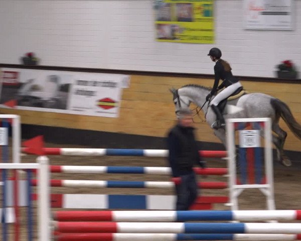 Reitturnier Heide 2021