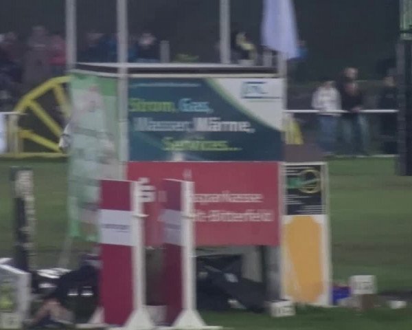 Reitturnier Greppin 2017