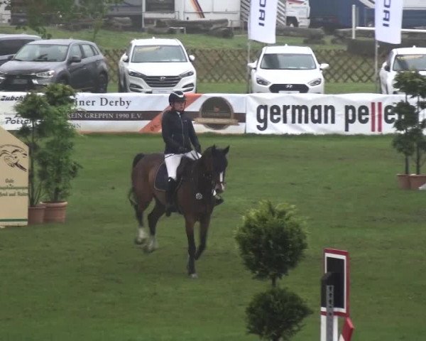 Reitturnier Greppin 2017