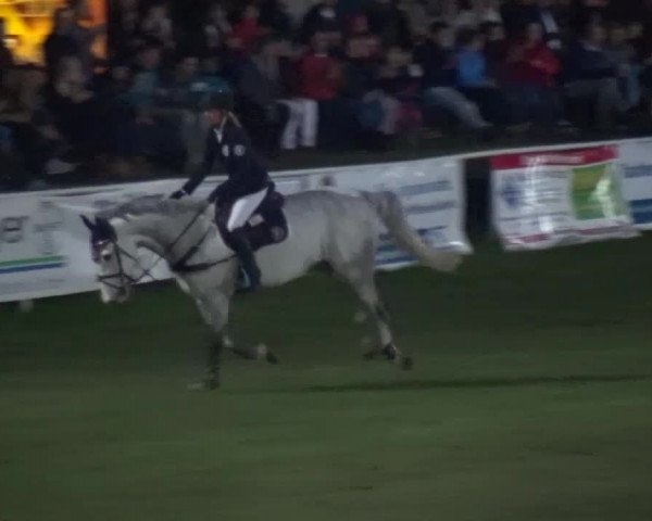 Reitturnier Greppin 2017