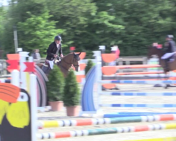 Reitturnier Nienberge 2017