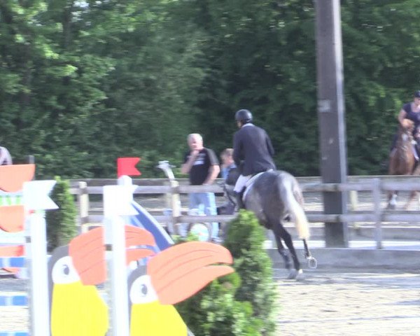 Reitturnier Nienberge 2017