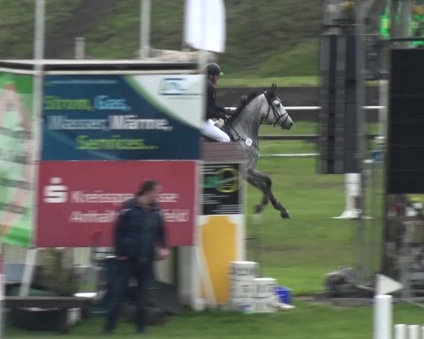 Reitturnier Greppin 2017