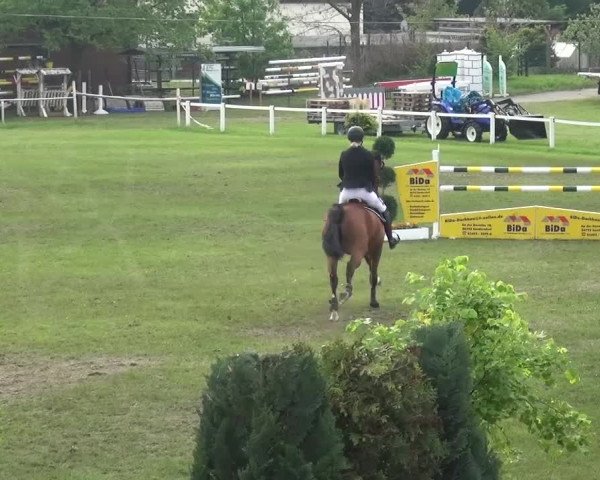 Reitturnier Greppin 2017
