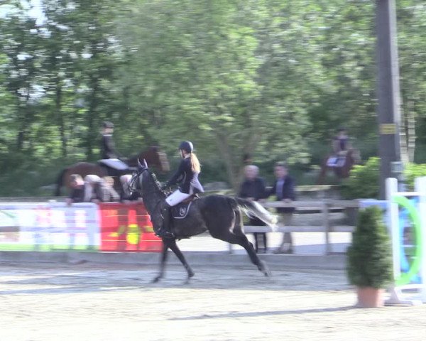 Reitturnier Nienberge 2017
