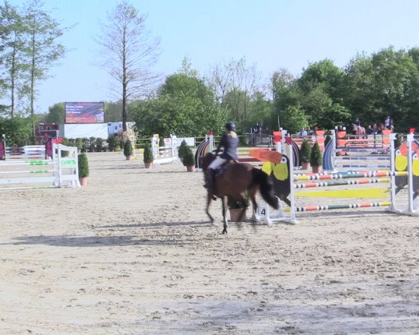 Reitturnier Nienberge 2017