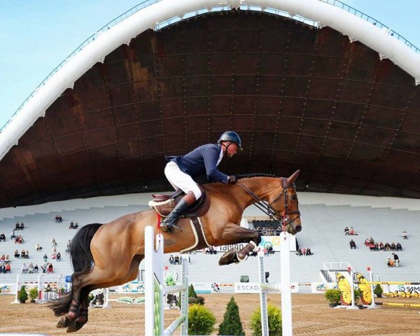 Pferd Event Horizon Hl (unbekannt, 2009, von Epsom Gesmeray)