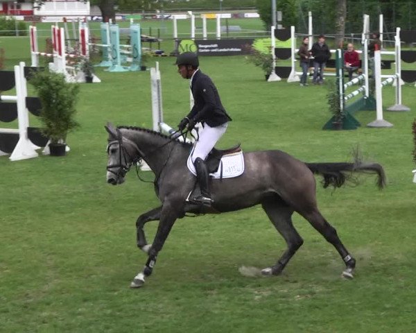 Reitturnier Schwaigern 2017
