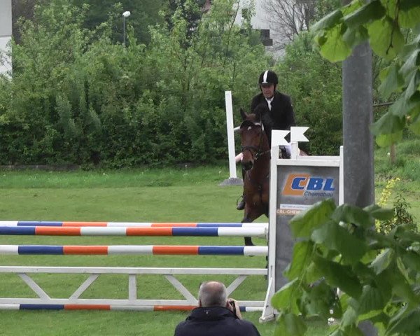 Reitturnier Schwaigern 2017