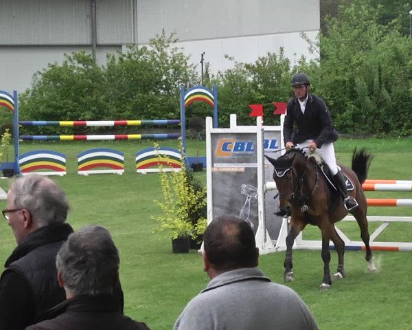 Reitturnier Schwaigern 2017