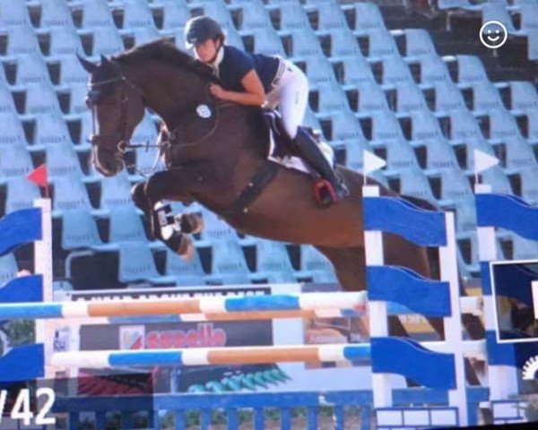 jumper Made by The Boss (Holsteiner, 2012, from Casall Ask)