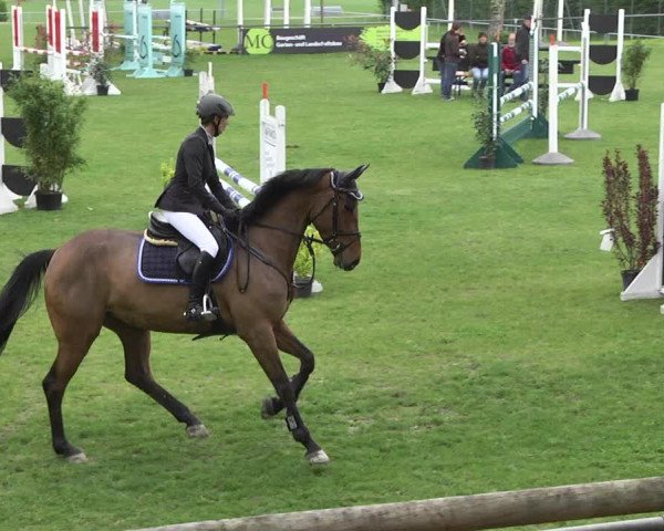Reitturnier Schwaigern 2017