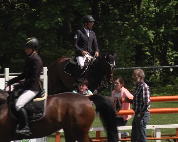 Reitturnier Schwaigern 2017