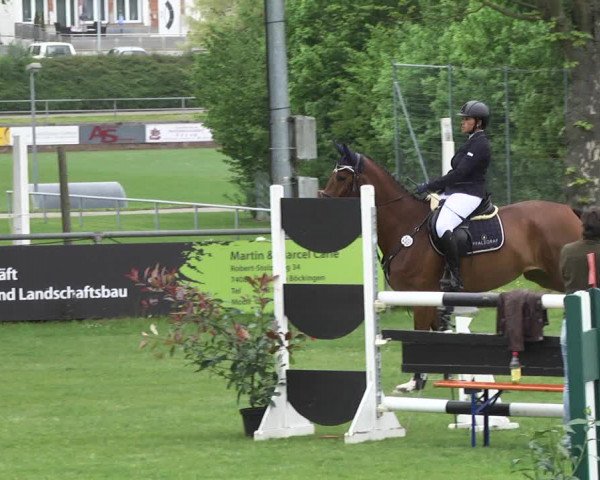 Reitturnier Schwaigern 2017