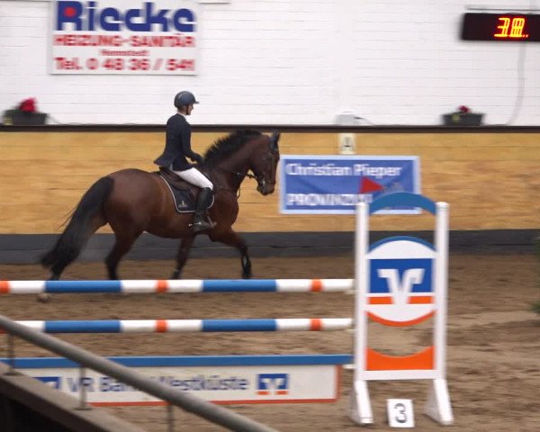 Reitturnier Heide 2021