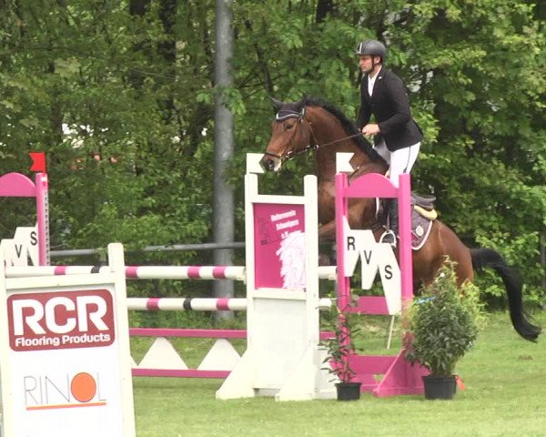 Reitturnier Schwaigern 2017