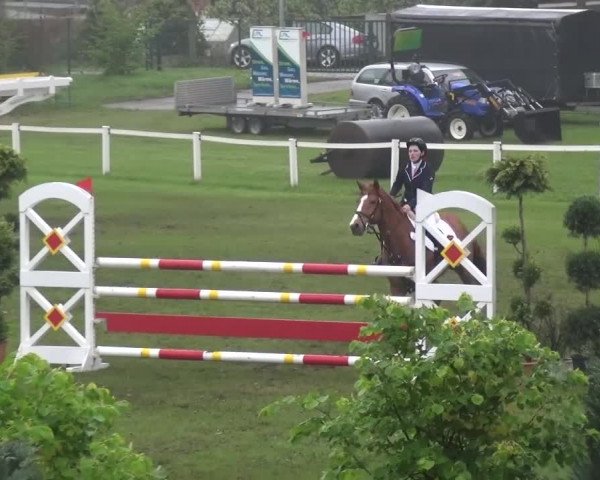 Reitturnier Greppin 2017