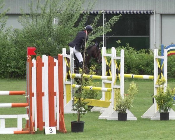 Reitturnier Schwaigern 2017