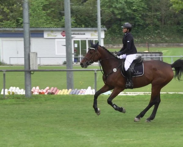 Reitturnier Schwaigern 2017