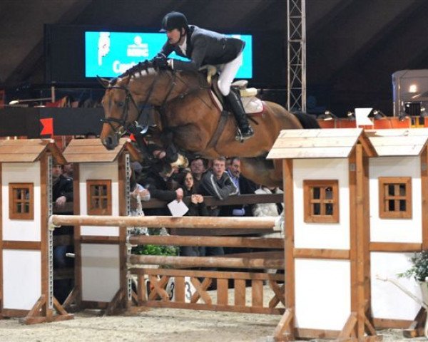 stallion Fantast Vh Zwarte Pannenhof (Belgian Warmblood, 2005, from Clinton)