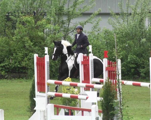 Reitturnier Schwaigern 2017
