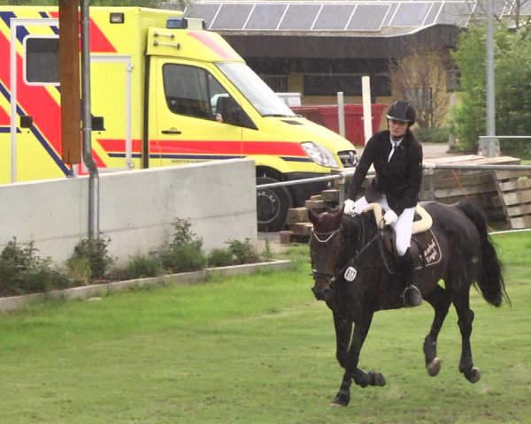 Reitturnier Schwaigern 2017