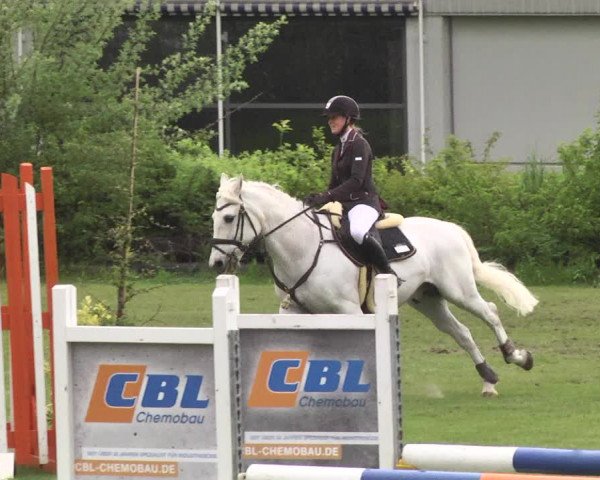 Reitturnier Schwaigern 2017