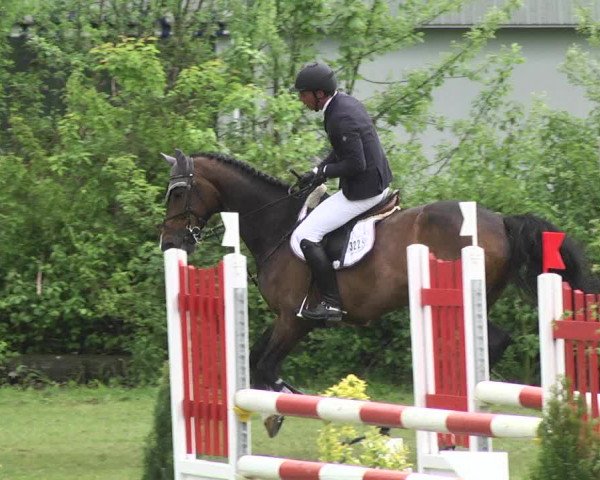 Reitturnier Schwaigern 2017