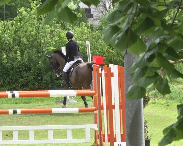 Reitturnier Schwaigern 2017