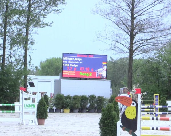 Reitturnier Nienberge 2017