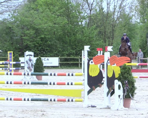 Reitturnier Nienberge 2017
