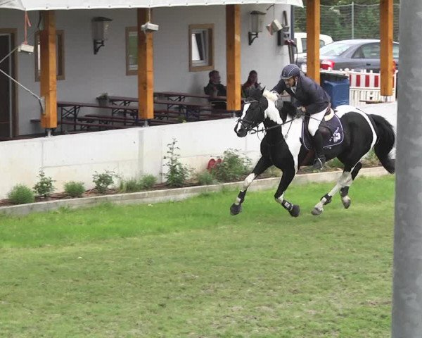 Reitturnier Schwaigern 2017