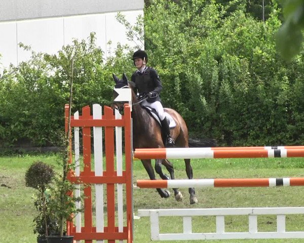 Reitturnier Schwaigern 2017