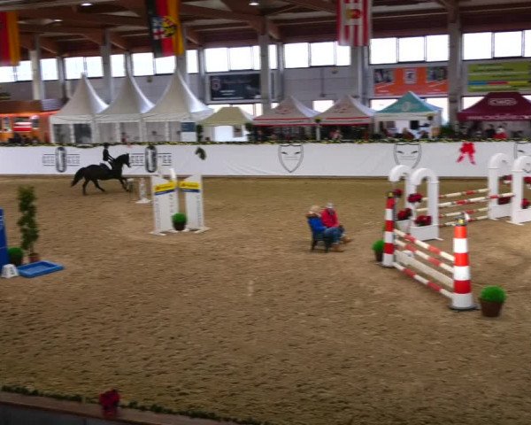 Christmas Jumping Trophy Prussendorf 2021